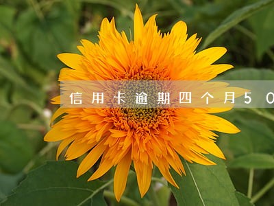 信用卡逾期四个月500多元 信用卡逾期四个月500多元