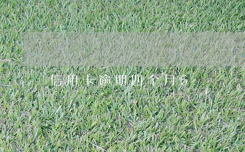 信用卡逾期四个月6