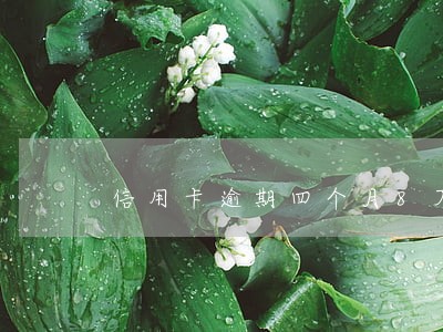 信用卡逾期四个月8万