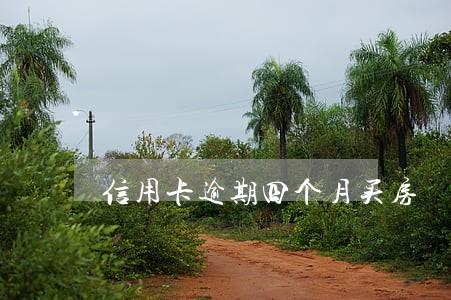 信用卡逾期四个月买房