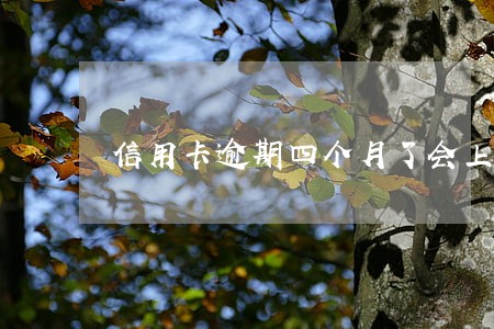 信用卡逾期四个月了会上门吗 信用卡逾期四个月了会上门吗