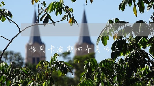 信用卡逾期四个月以上 信用卡逾期四个月以上