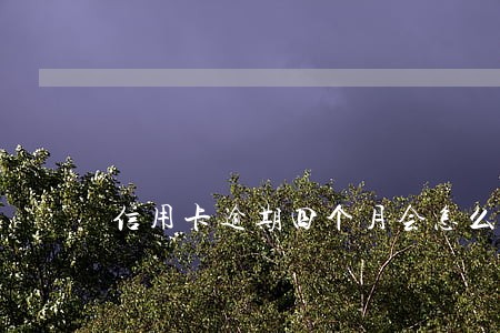 信用卡逾期四个月会怎么处理