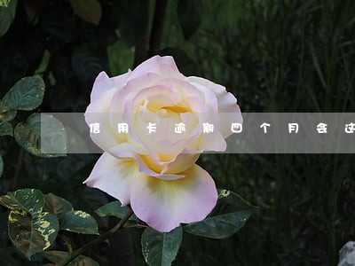 信用卡逾期四个月会这么样