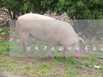 信用卡逾期四个月冻结 信用卡逾期四个月冻结