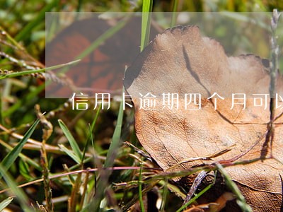信用卡逾期四个月可以坐高铁