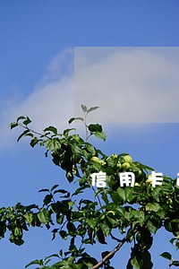信用卡逾期四个月可以解冻吗 信用卡逾期四个月可以解冻吗