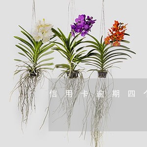 信用卡逾期四个月如何还款 信用卡逾期四个月如何还款