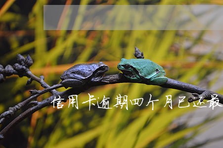 信用卡逾期四个月已还最低 信用卡逾期四个月已还最低