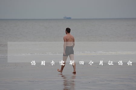 信用卡逾期四个月征信会黑吗 信用卡逾期四个月征信会黑吗