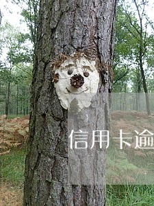 信用卡逾期四个月律师上门吗