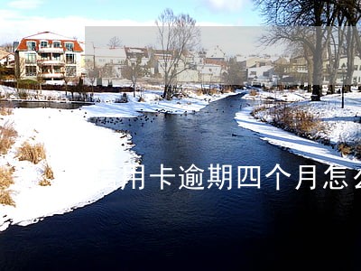 信用卡逾期四个月怎么处理方式 信用卡逾期四个月怎么处理方式