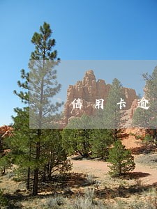 信用卡逾期四个月是黑户了吗 信用卡逾期四个月是黑户了吗