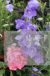 信用卡逾期四个月没有通知 信用卡逾期四个月没有通知