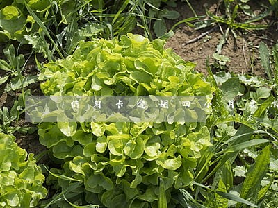 信用卡逾期四个月要求全款 信用卡逾期四个月要求全款