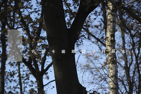信用卡逾期四个月解冻 信用卡逾期四个月解冻