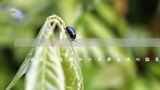 信用卡逾期四个月解冻成功额度不能用 信用卡逾期四个月解冻成功额度不能用