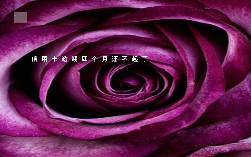 信用卡逾期四个月还不起了 信用卡逾期四个月还不起了