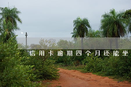 信用卡逾期四个月还能坐飞机吗 信用卡逾期四个月还能坐飞机吗