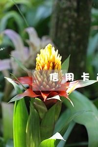 信用卡逾期四个月还进去 信用卡逾期四个月还进去
