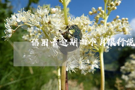 信用卡逾期四个月银行说要起诉我了 信用卡逾期四个月银行说要起诉我了