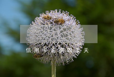 信用卡逾期四五天 信用卡逾期四五天