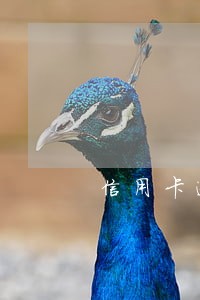 信用卡逾期四五天有影响吗 信用卡逾期四五天有影响吗