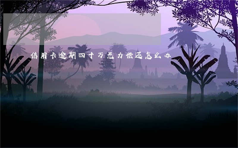 信用卡逾期四十万无力偿还怎么办 信用卡逾期四十万无力偿还怎么办