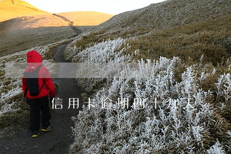 信用卡逾期四十九天 信用卡逾期四十九天