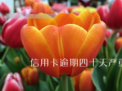 信用卡逾期四十天严重吗 信用卡逾期四十天严重吗