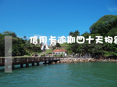 信用卡逾期四十天拘留 信用卡逾期四十天拘留