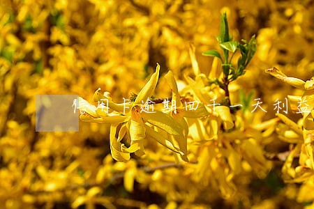 信用卡逾期四千一天利益多少 信用卡逾期四千一天利益多少
