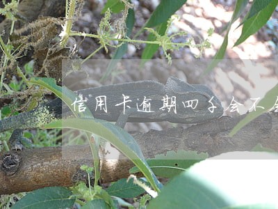 信用卡逾期四千会不会摊上官司