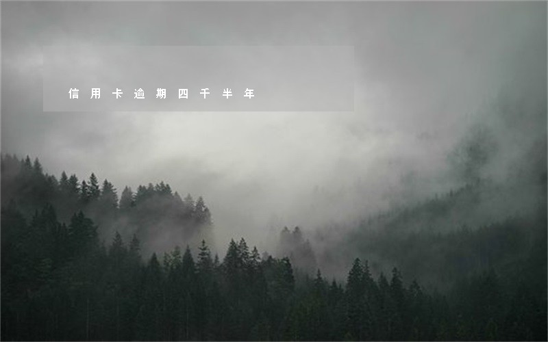信用卡逾期四千半年