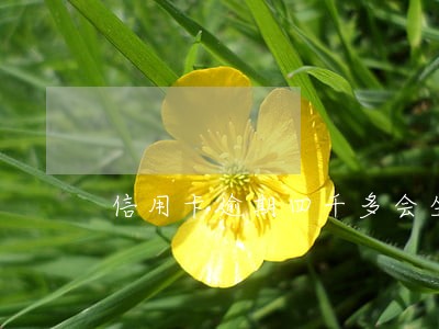信用卡逾期四千多会坐牢吗 信用卡逾期四千多会坐牢吗