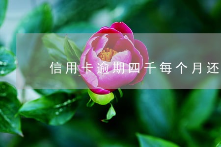 信用卡逾期四千每个月还100