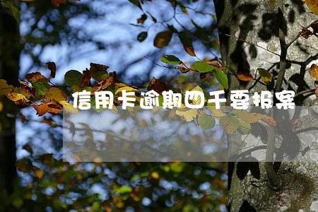 信用卡逾期四千要报案 信用卡逾期四千要报案