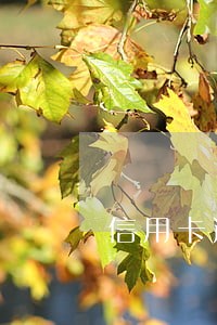 信用卡逾期四天上征信