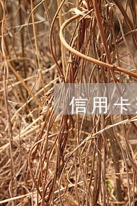 信用卡逾期四天会列入征信嘛 信用卡逾期四天会列入征信嘛