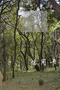 信用卡逾期四天会怎样 信用卡逾期四天会怎样