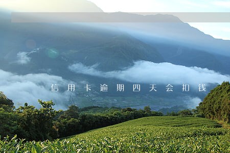信用卡逾期四天会扣钱