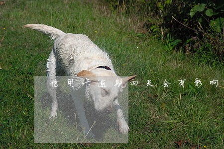 信用卡逾期四天会有影响吗 信用卡逾期四天会有影响吗