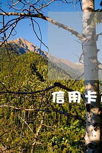 信用卡逾期四天会被冻结吗 信用卡逾期四天会被冻结吗