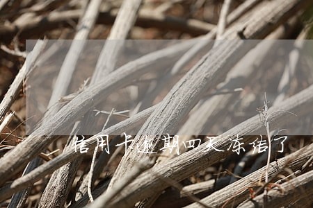 信用卡逾期四天冻结了 信用卡逾期四天冻结了