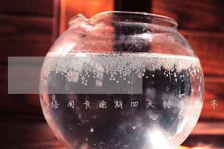 信用卡逾期四天利息能不能免 信用卡逾期四天利息能不能免