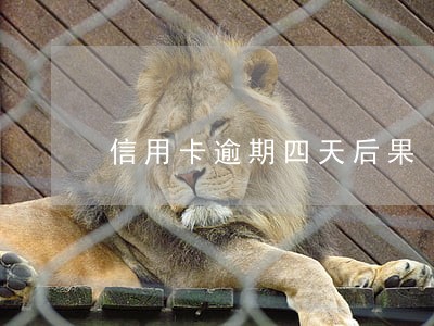 信用卡逾期四天后果
