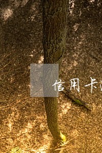 信用卡逾期四天在办理能下来吗