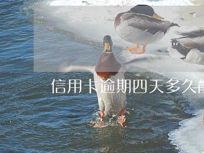 信用卡逾期四天多久能消除 信用卡逾期四天多久能消除