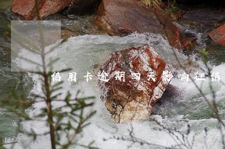 信用卡逾期四天影响征信吗 信用卡逾期四天影响征信吗