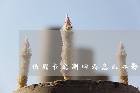 信用卡逾期四天怎么办影响征信吗 信用卡逾期四天怎么办影响征信吗